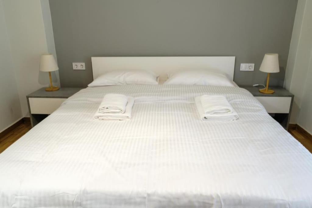 Modern Pangrati Flat! Διαμέρισμα Αθήνα Εξωτερικό φωτογραφία